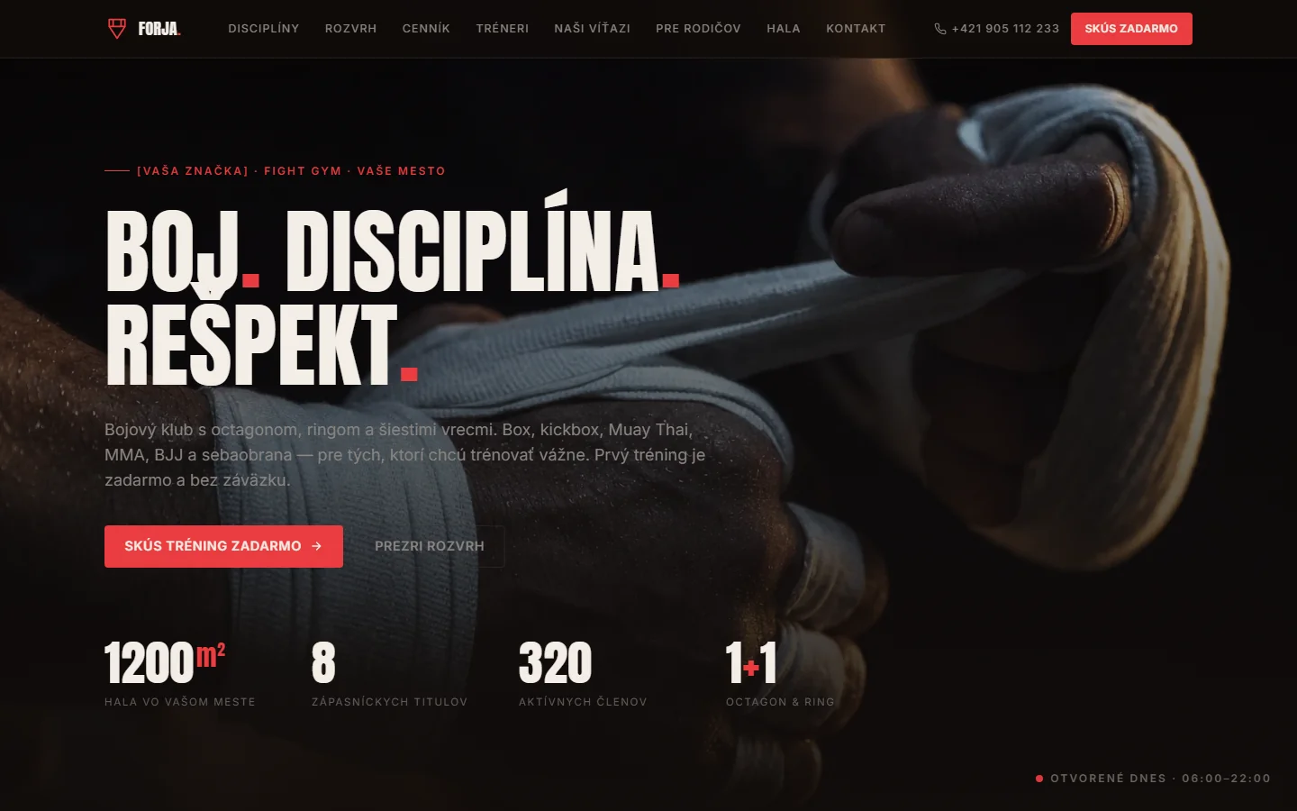 Fight gym — šablóna